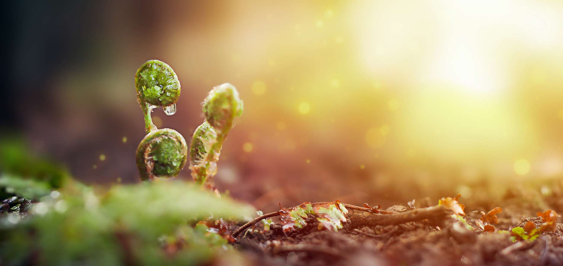 Jahreskreisfeste 2026